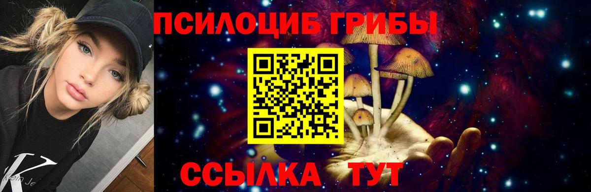 Псилоцибиновые грибы мухоморы Городец