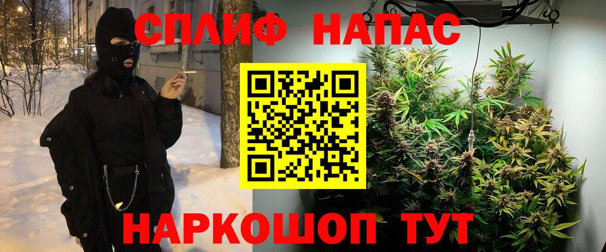 Канабис ГИДРОПОН  Конопля сатива  Городец  Вход с VPN  Каннабис SATIVA & INDICA 